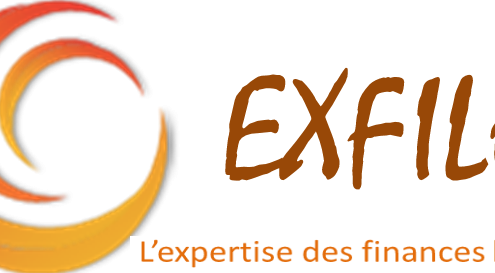 Exfilo expert finances locales