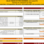 Bilan financier prévisionnel zone d'activité - EXFILO